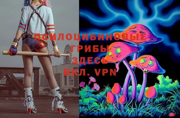 стафф Касимов