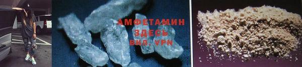 стафф Касимов