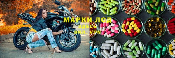 прущие грибы Навашино