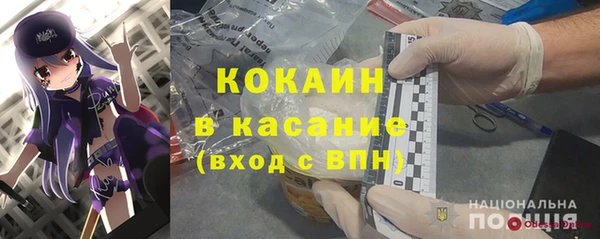 стафф Касимов